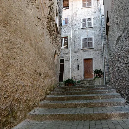 On The By Solutions *