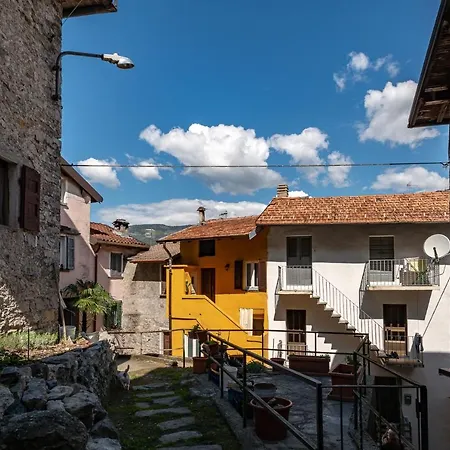 On The By Solutions ليتْسّينو